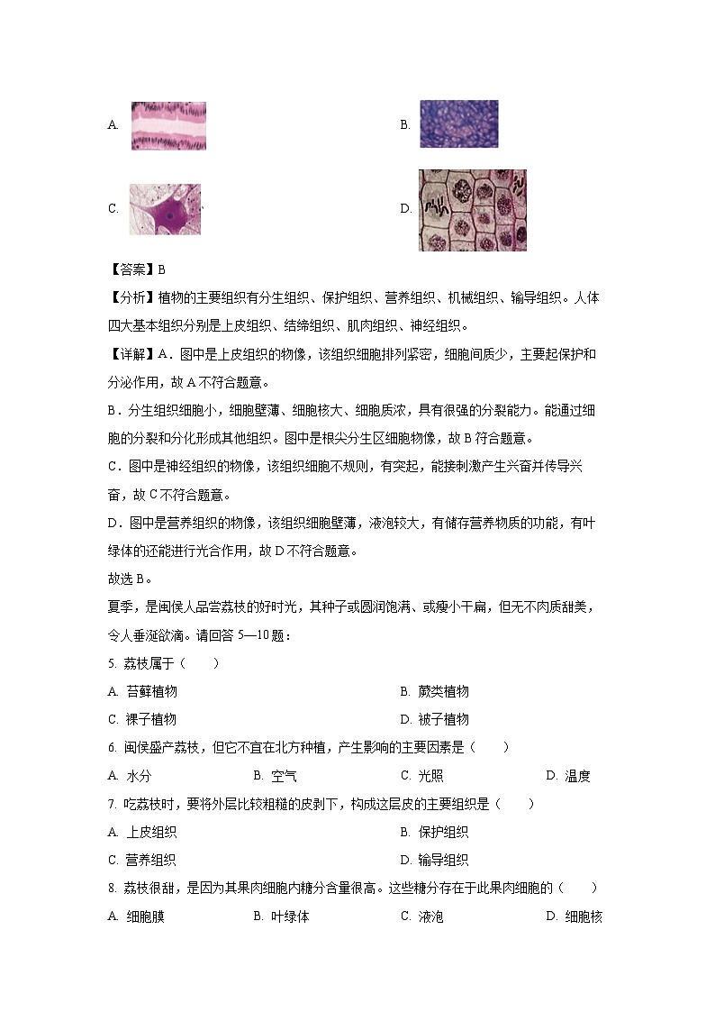 福建省福州市闽侯县2023-2024学年七年级上学期期末生物试卷（解析版）第3页