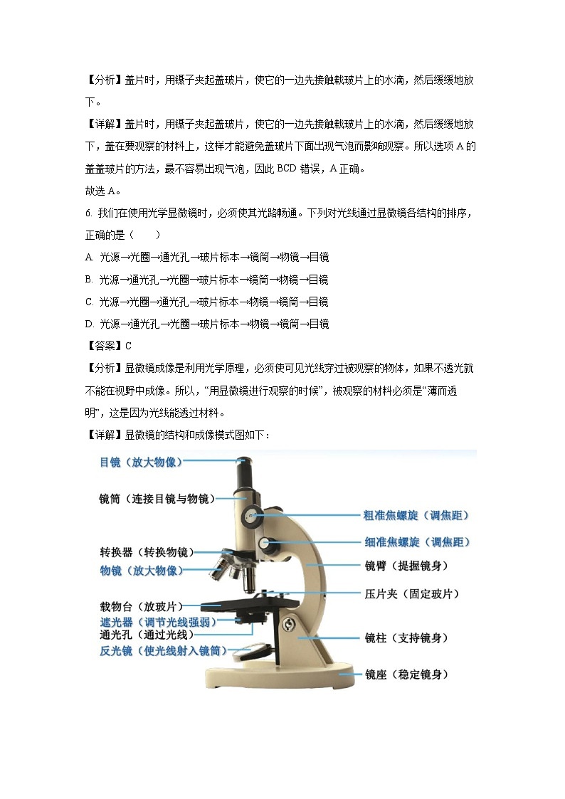 福建省莆田市荔城区2023-2024学年七年级上学期期末生物试卷（解析版）第3页