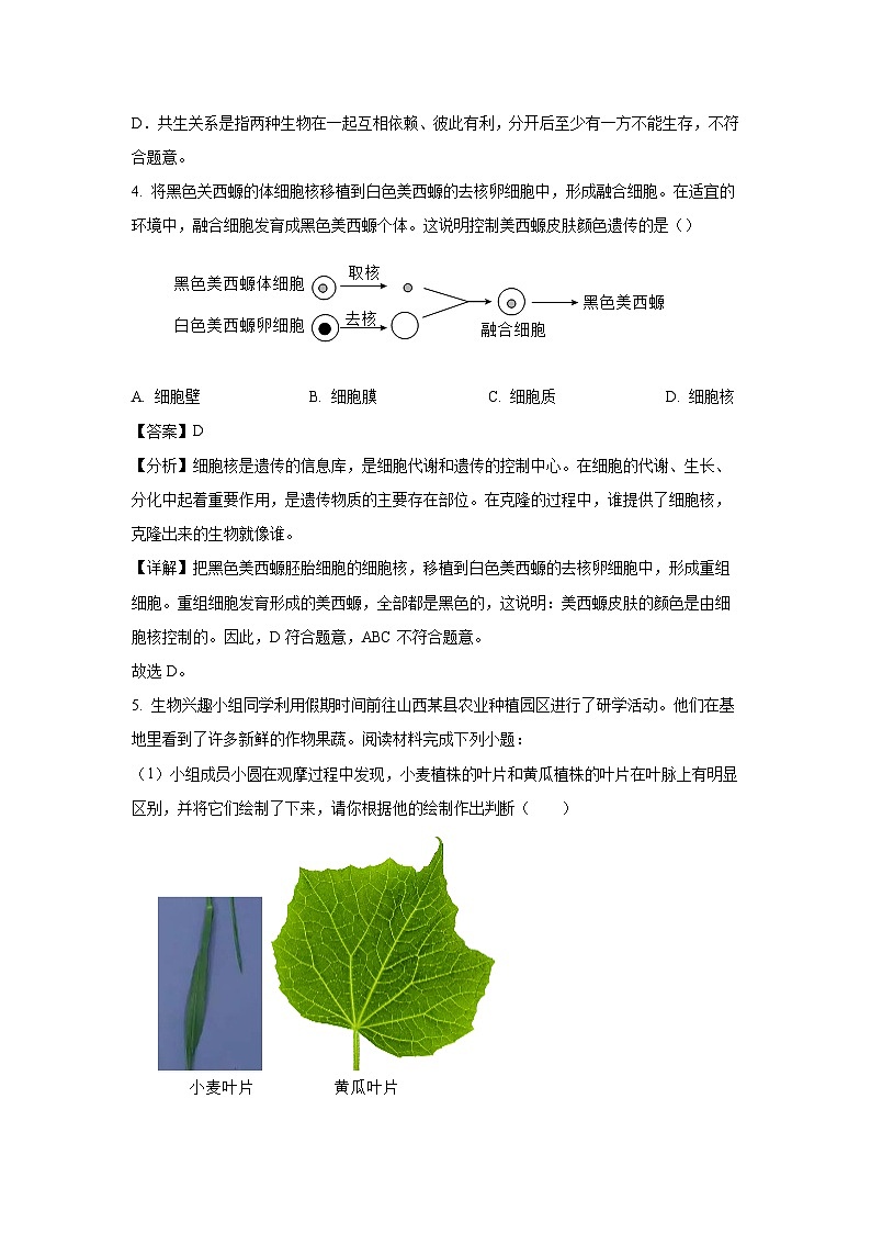 山西省忻州市多校联考2023-2024学年七年级上学期期末生物试卷（解析版）第3页