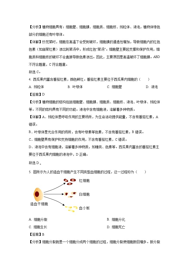 福建省泉州市丰泽区2023-2024学年七年级上学期期末生物试卷（解析版）第2页
