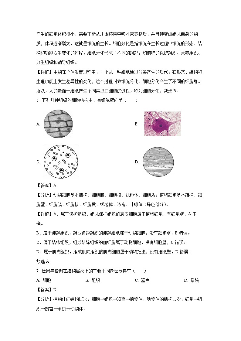 福建省泉州市丰泽区2023-2024学年七年级上学期期末生物试卷（解析版）第3页
