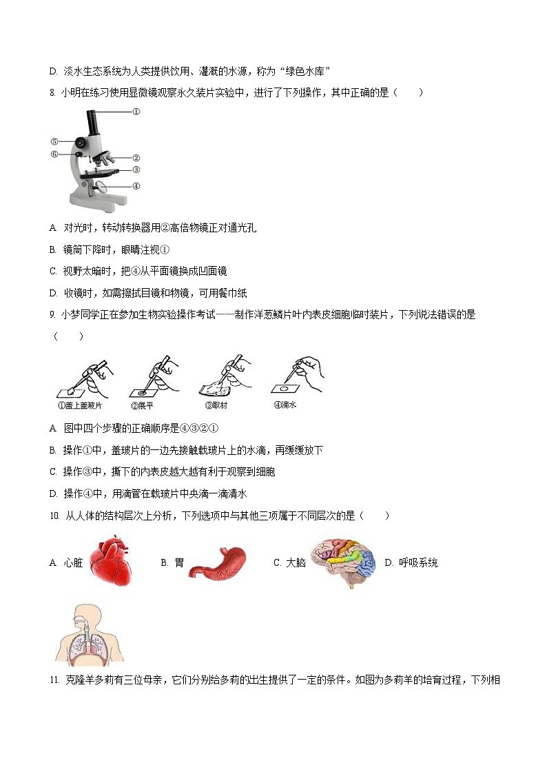 深圳市龙岗区2022-2023学年七年级上学期期末生物试题第3页
