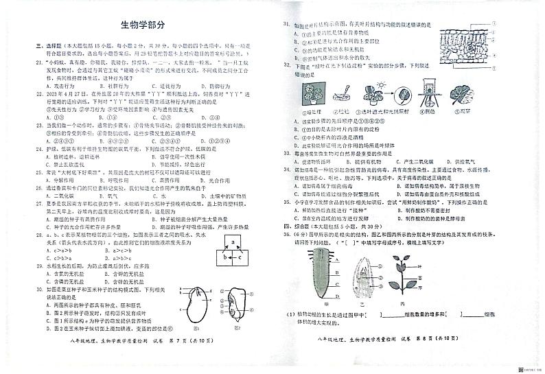 广西防城港市防城区2024-2025学年八年级上学期期末检测生物试题第1页