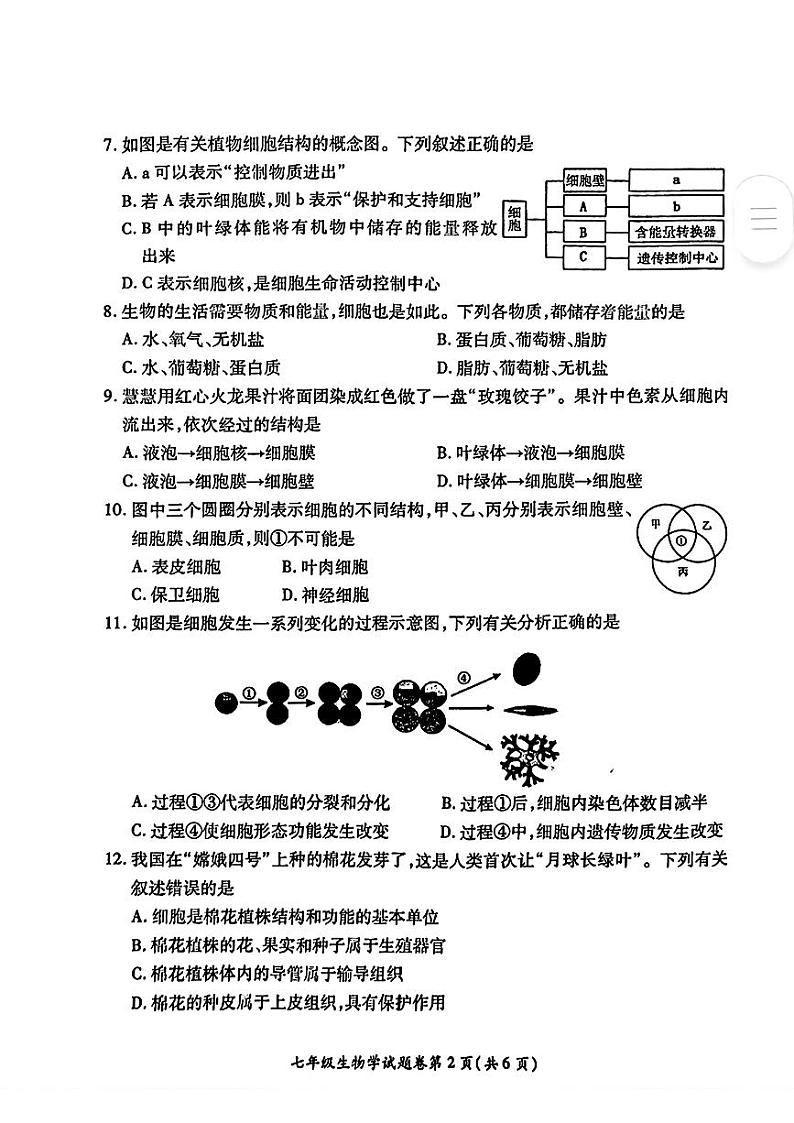 安徽省淮北市2024-2025年七年级上学期期末考试生物试题第2页
