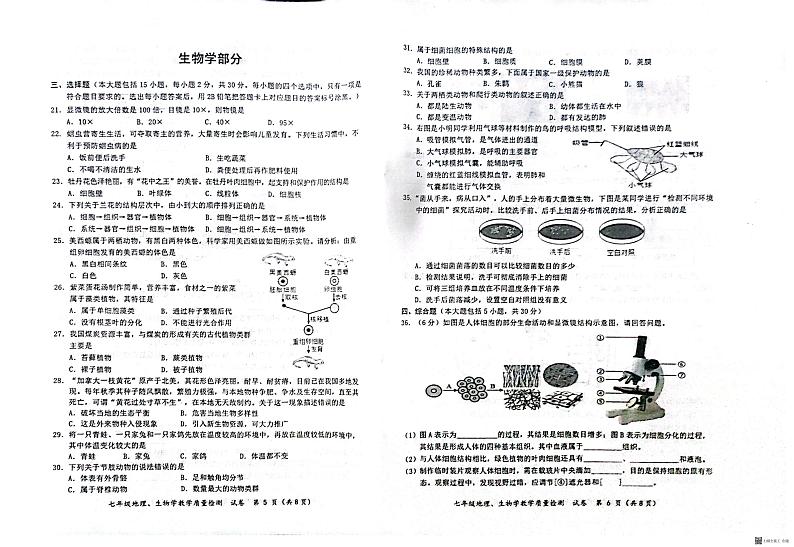 广西防城港市防城区2024-2025学年七年级上学期期末测试生物试题第1页