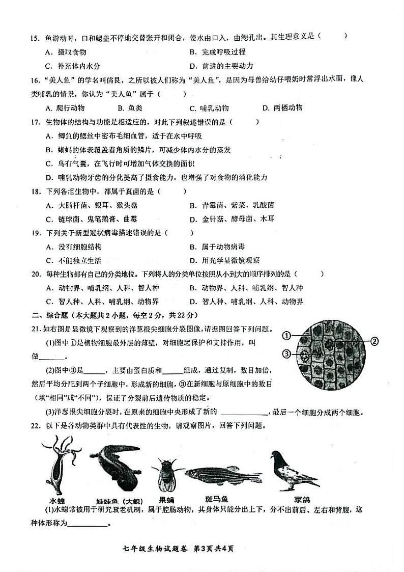 安徽省安庆市太湖县2024-2025学年七年级上学期期末教学质量监测生物试题第3页