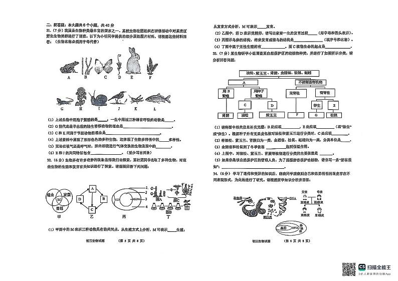 山东省威海市文登区2024-2025学年八年级上学期期末考试生物试卷第3页