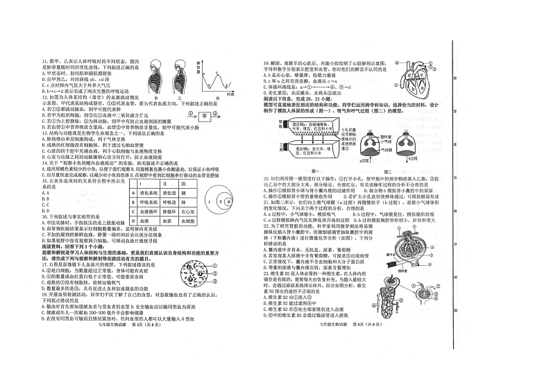 2024-2025学年广饶县第一学期期末考试-七年级生物第2页