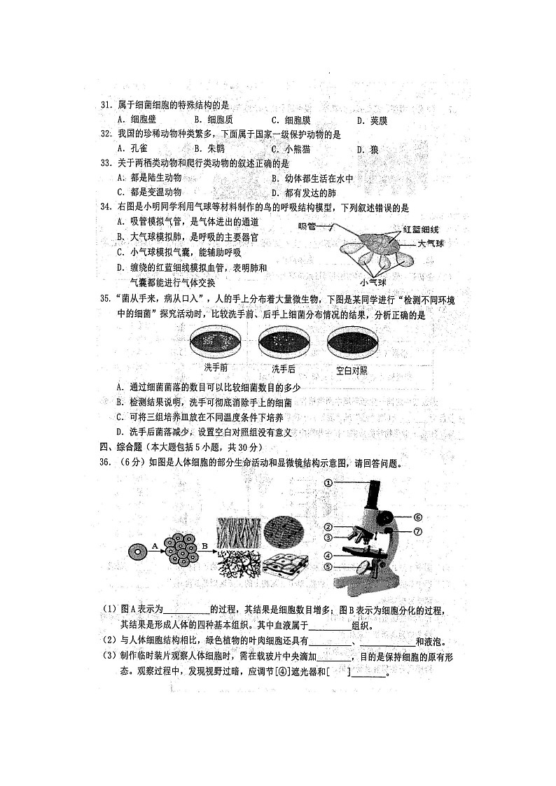 2024年秋广西防城港市七年级生物期末教学质量检测题（扫描版含答案）第2页