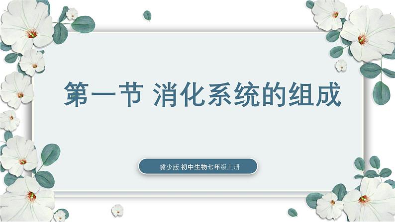 【核心素养目标】冀少版初中生物七年级下册《消化系统的组成》课件第1页