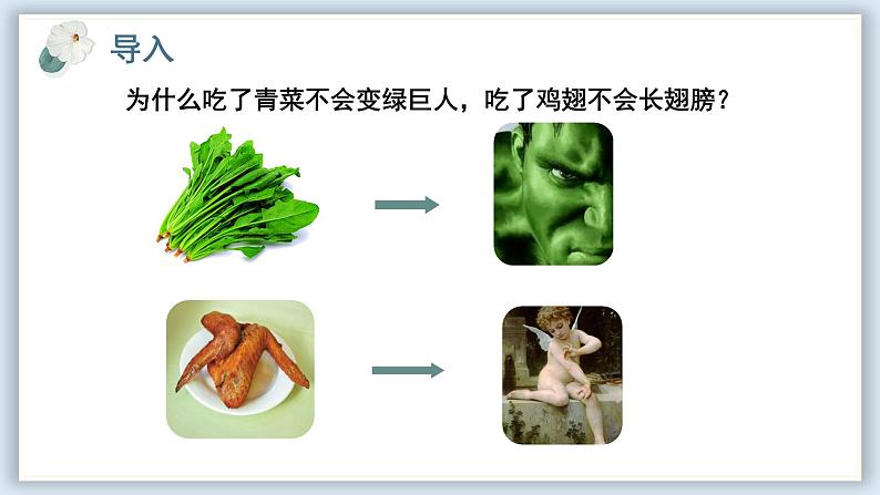 【核心素养目标】冀少版初中生物七年级下册《消化系统的组成》课件第2页