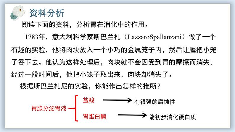 【核心素养目标】冀少版初中生物七年级下册《消化系统的组成》课件第8页