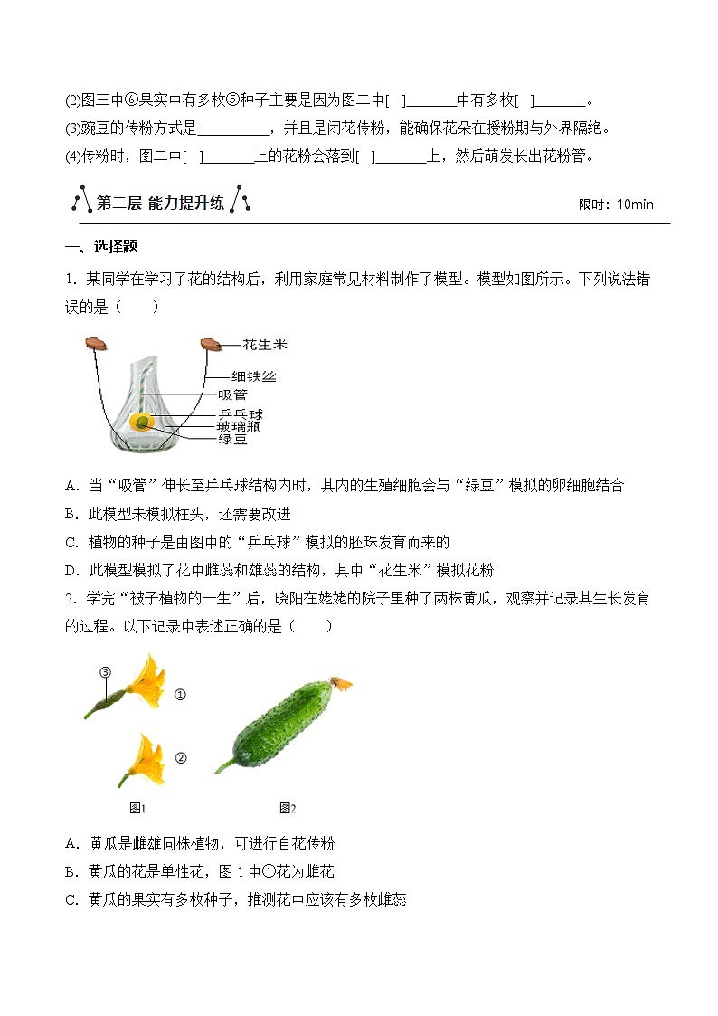 3.1.3 开花和结果（分层作业）（原卷版）第3页