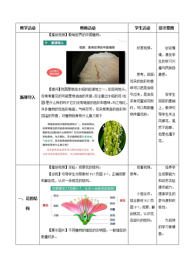 3.1.3 开花和结果（教学设计） 第2页