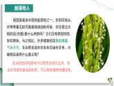 【人教版】七下生物 3.1.3 开花和结果（课件+教案+导学案+练习+视频）