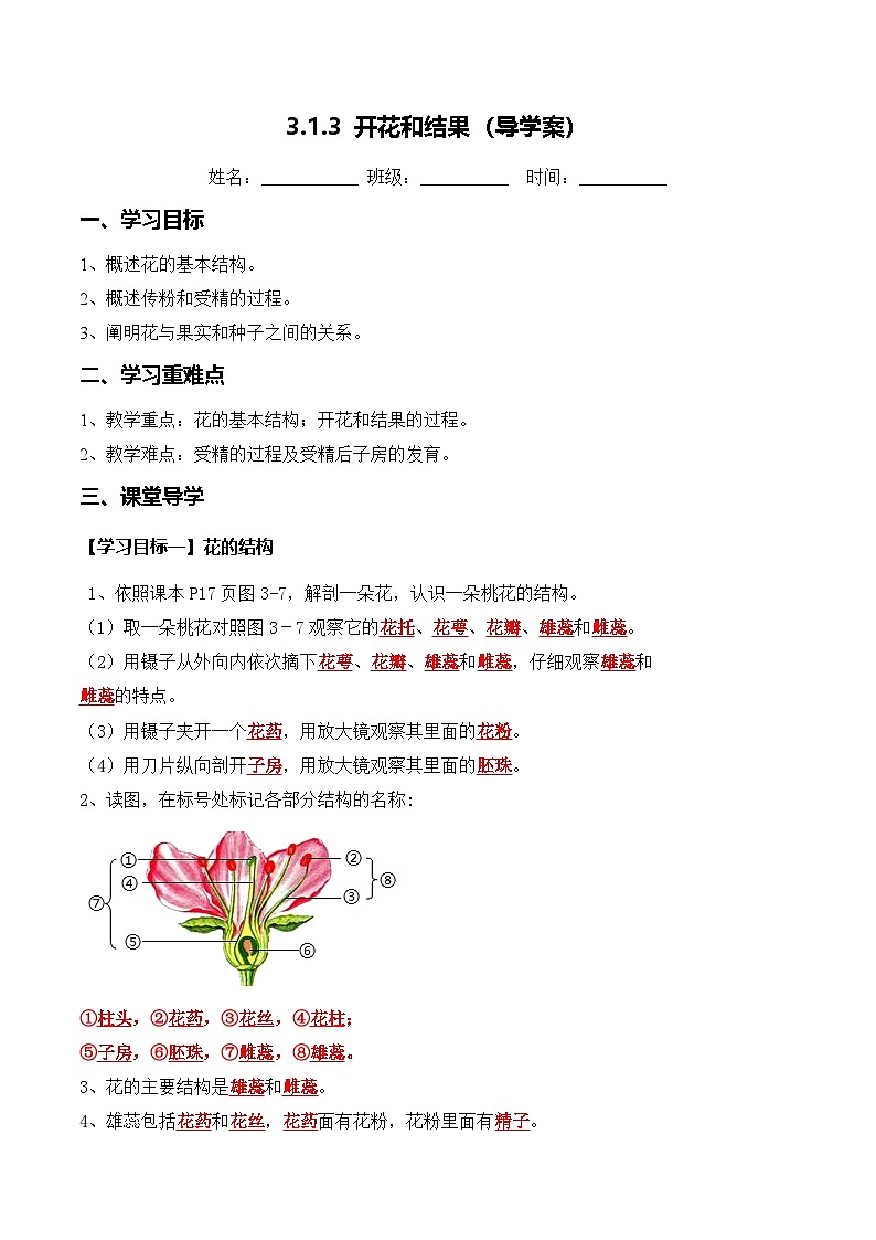3.1.3 开花和结果（导学案）（解析版）第1页