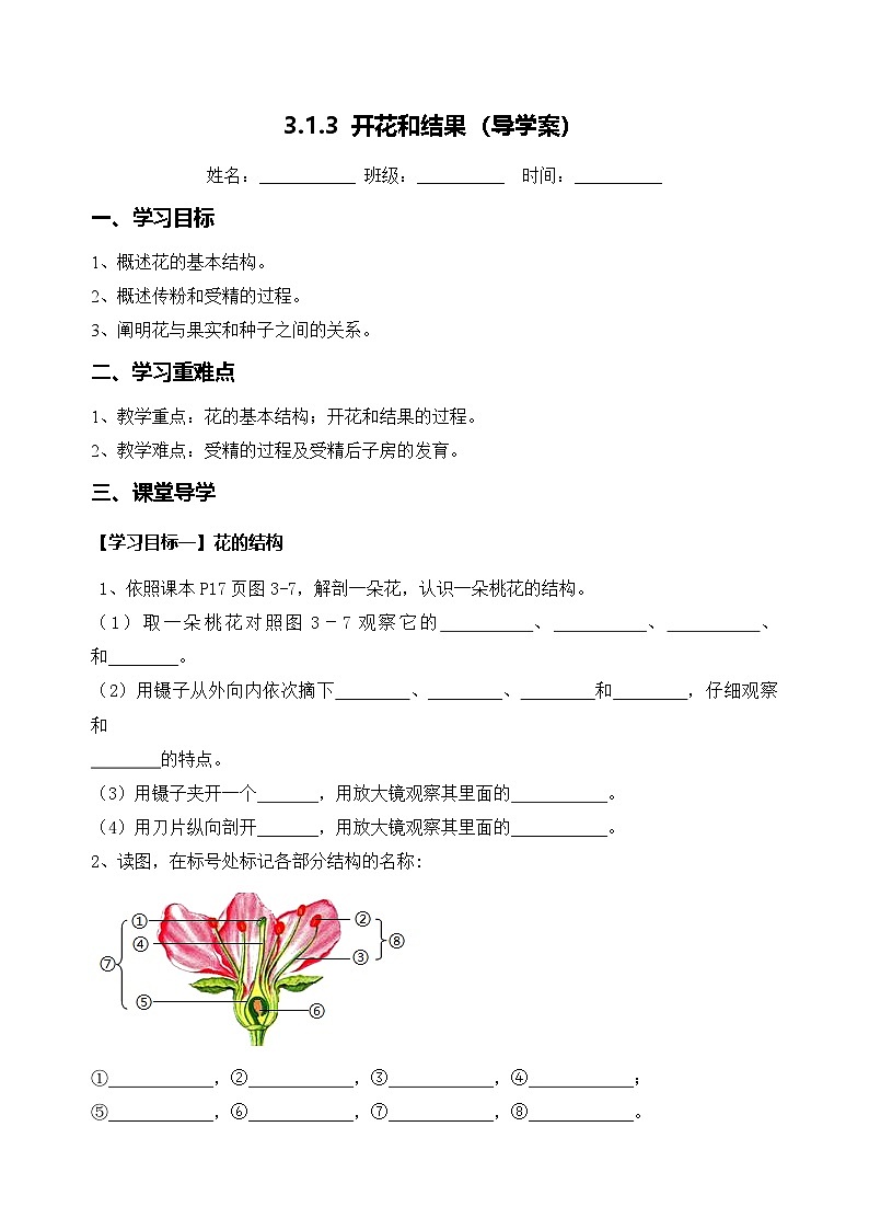 3.1.3 开花和结果（导学案）（原卷版）第1页