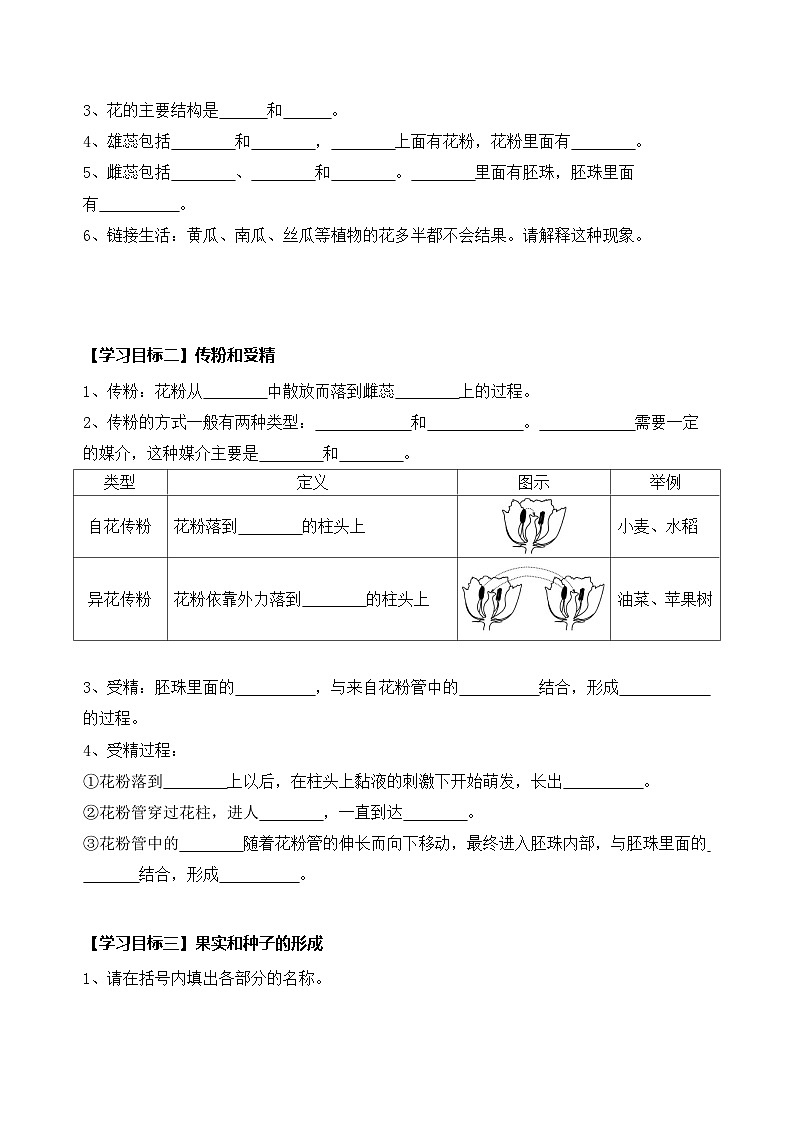 3.1.3 开花和结果（导学案）（原卷版）第2页