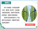 【人教版】七下生物 3.1.1 种子的萌发（课件+教案+导学案+练习+视频）