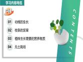 【人教版】七下生物 3.1.2 植株的生长（课件+教案+导学案+练习+视频）