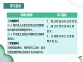 【人教版】七下生物 3.1.2 植株的生长（课件+教案+导学案+练习+视频）