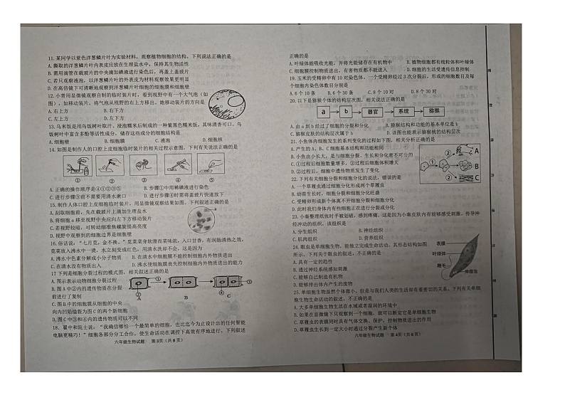 山东省东营市广饶县2024-2025学年六年级第一学期期末--生物第2页