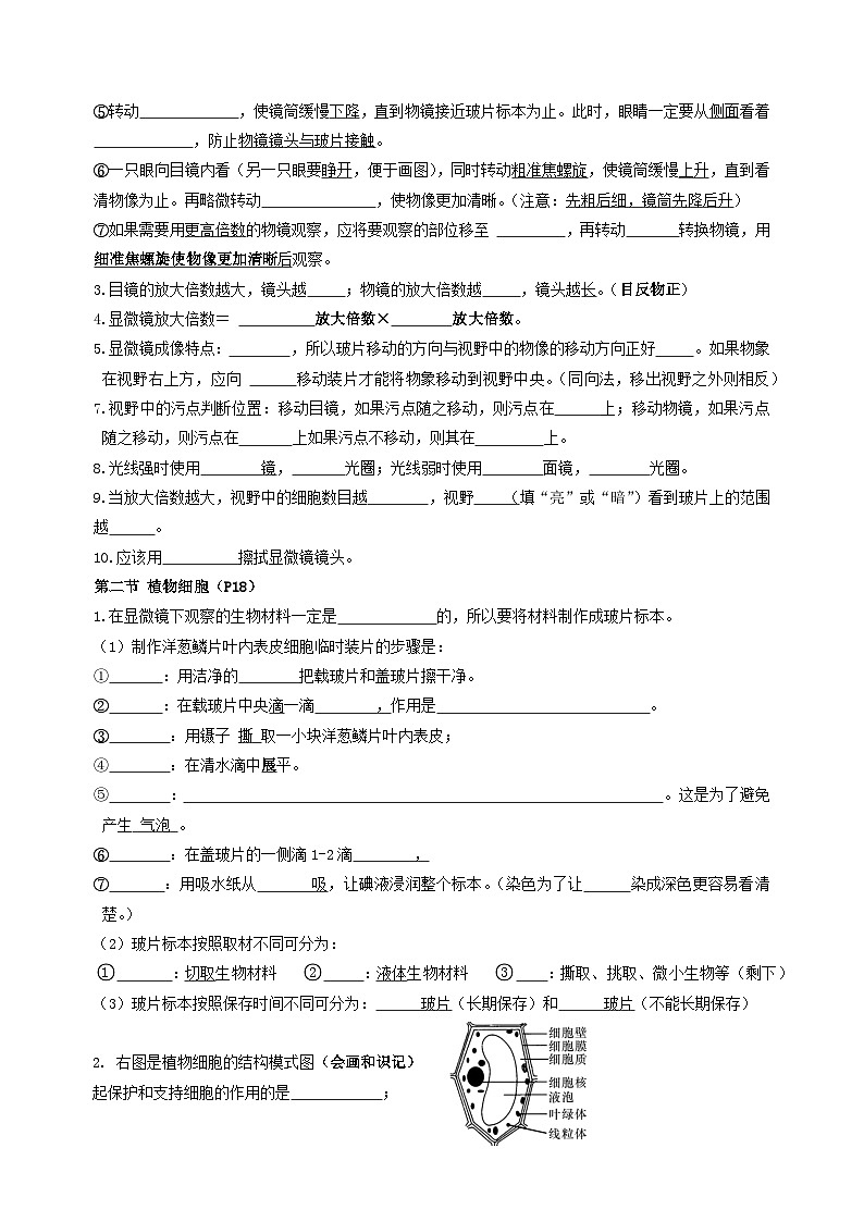 人教版（2024新版）七年级上册生物期末复习知识点朝纲填空练习题版（含答案）第2页