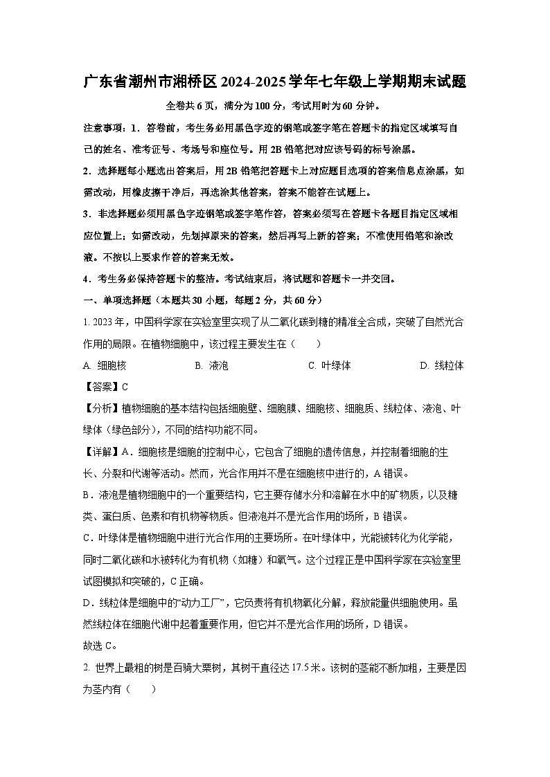2024~2025学年广东省潮州市湘桥区七年级上学期期末生物试卷（解析版）第1页