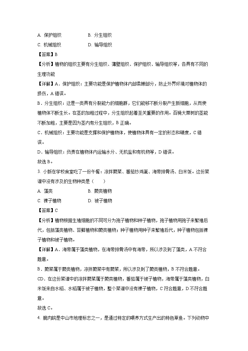 2024~2025学年广东省潮州市湘桥区七年级上学期期末生物试卷（解析版）第2页