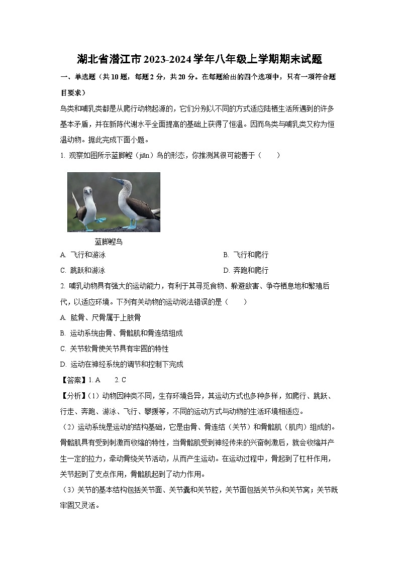 2023~2024学年湖北省潜江市八年级上学期期末生物试卷（解析版）第1页