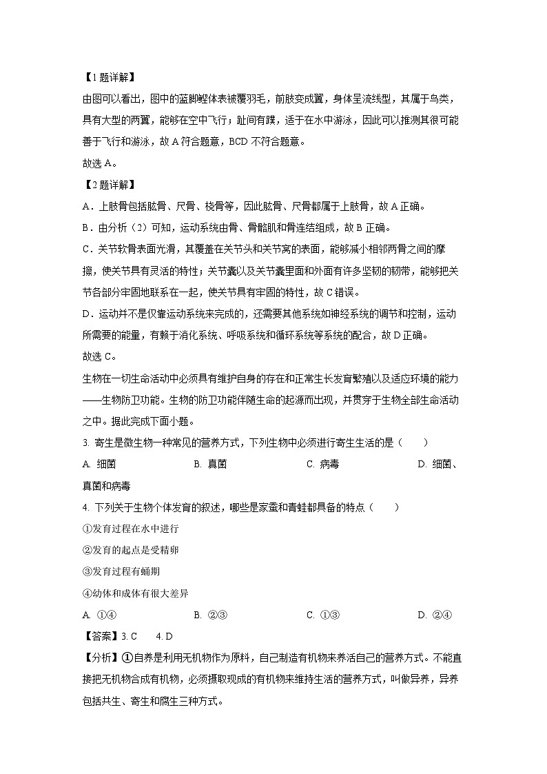 2023~2024学年湖北省潜江市八年级上学期期末生物试卷（解析版）第2页
