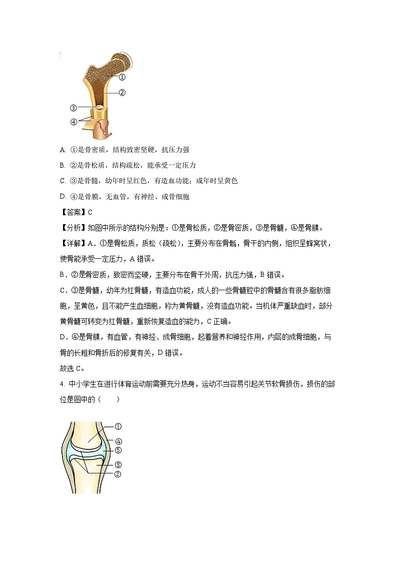 2023~2024学年河北省廊坊市安次区八年级上学期期末生物试卷（解析版）第2页
