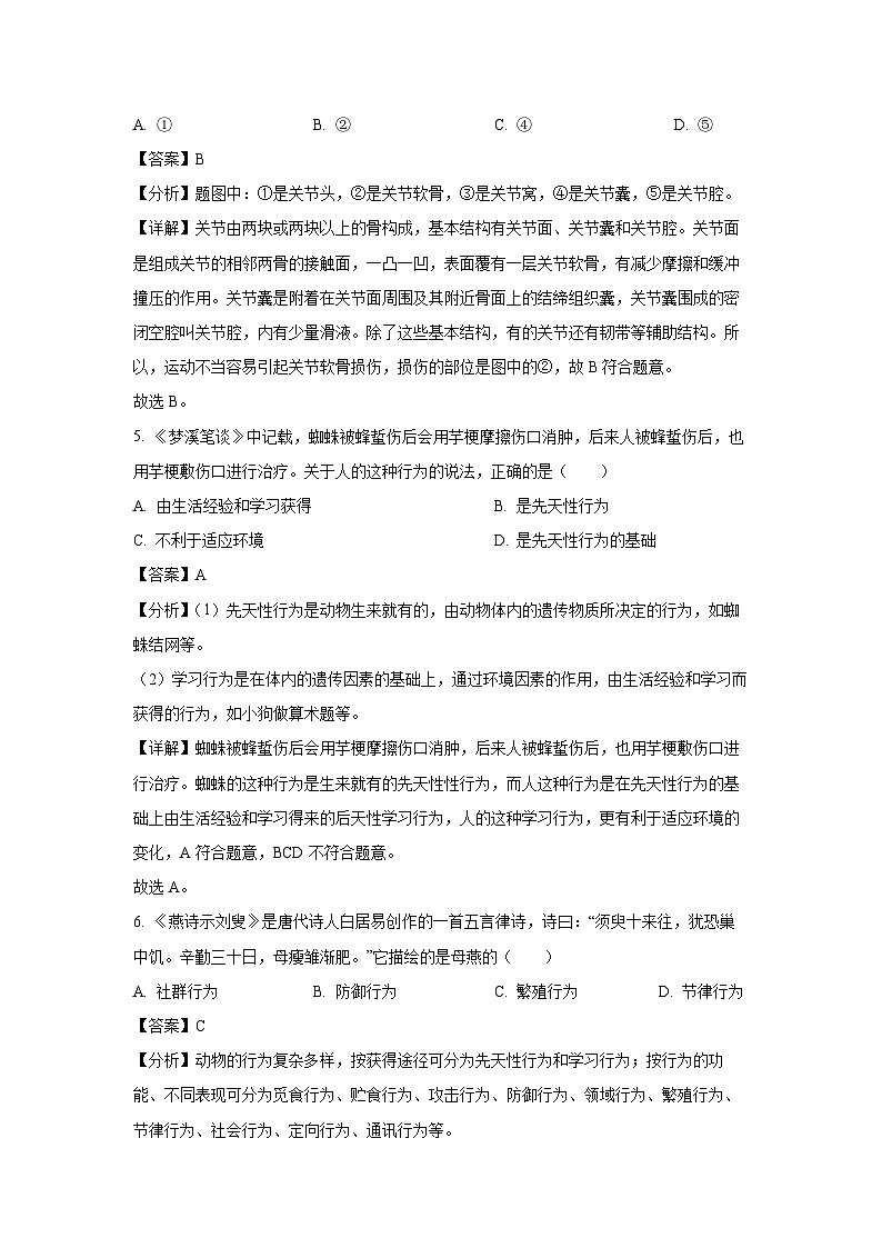 2023~2024学年河北省廊坊市安次区八年级上学期期末生物试卷（解析版）第3页