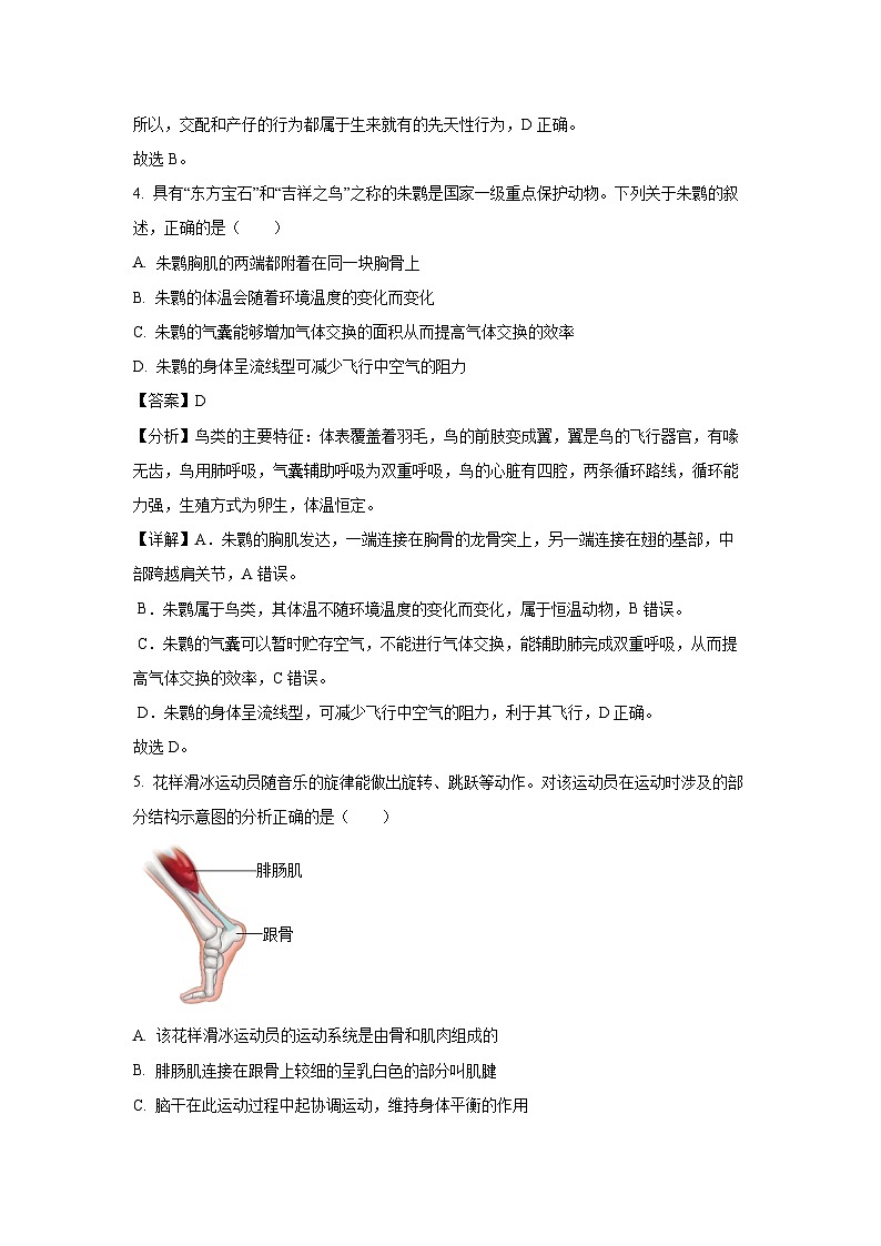 2023~2024学年山东省青岛市市北区八年级上学期期末生物试卷（解析版）第3页