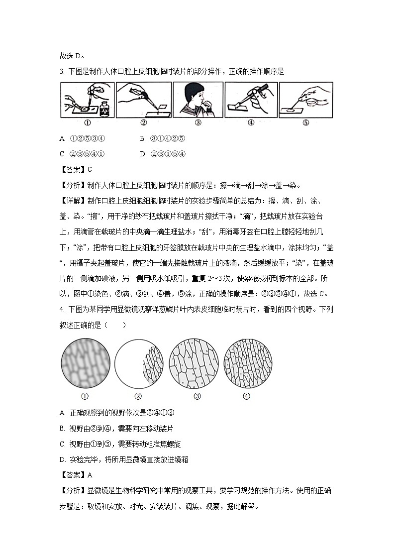 2024~2025学年山东省日照市开发区七年级上学期期末生物试卷（解析版）第2页