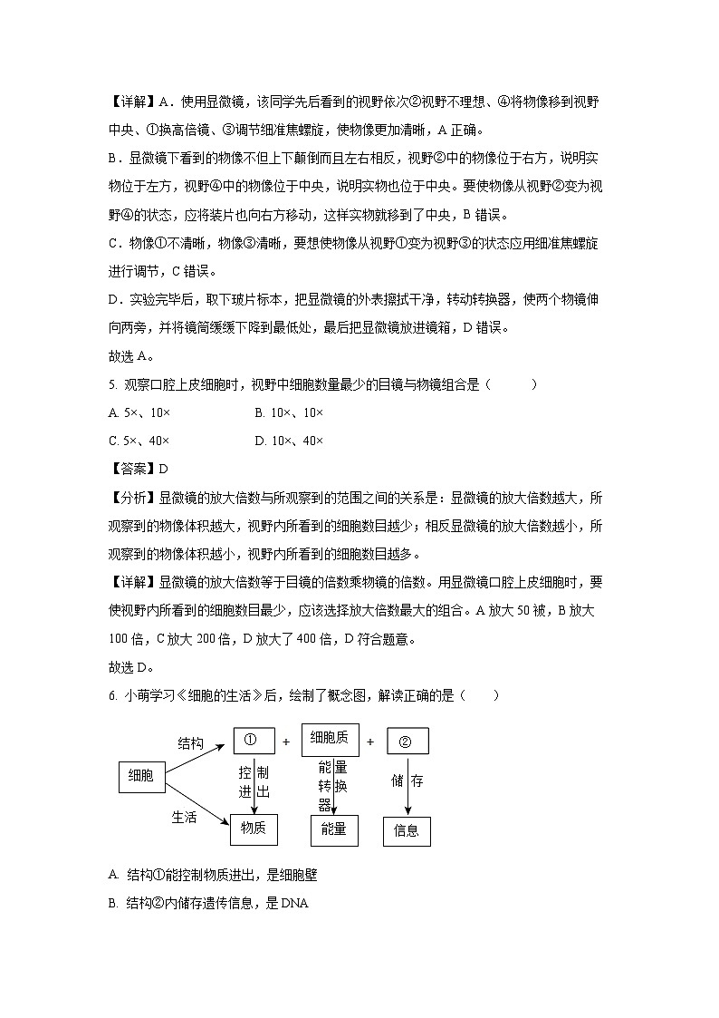 2024~2025学年山东省日照市开发区七年级上学期期末生物试卷（解析版）第3页