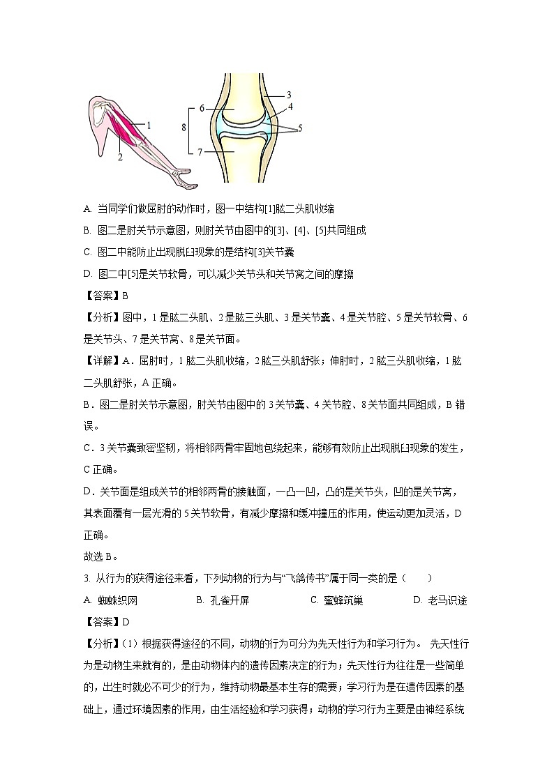 2023~2024学年山东省临沂市河东区八年级上学期期末生物试卷（解析版）第2页