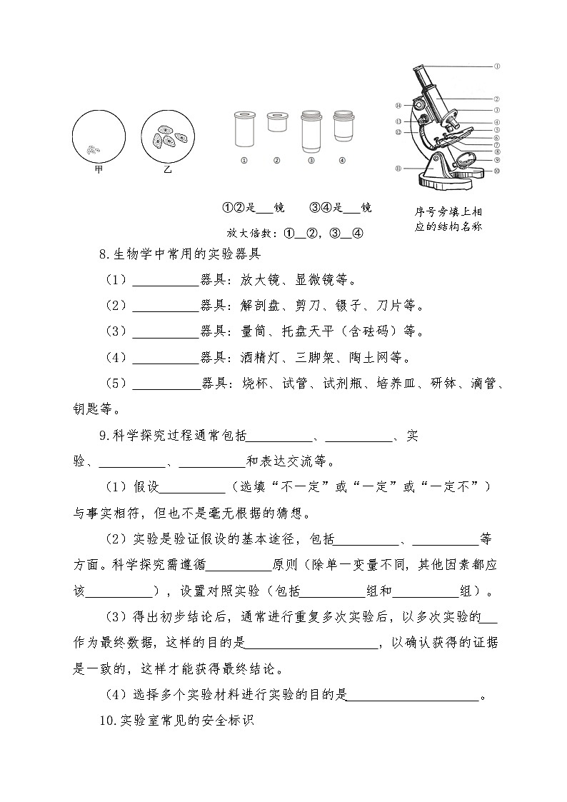 苏教版（2024版）七年级上册生物期末复习知识点清单 学案第2页