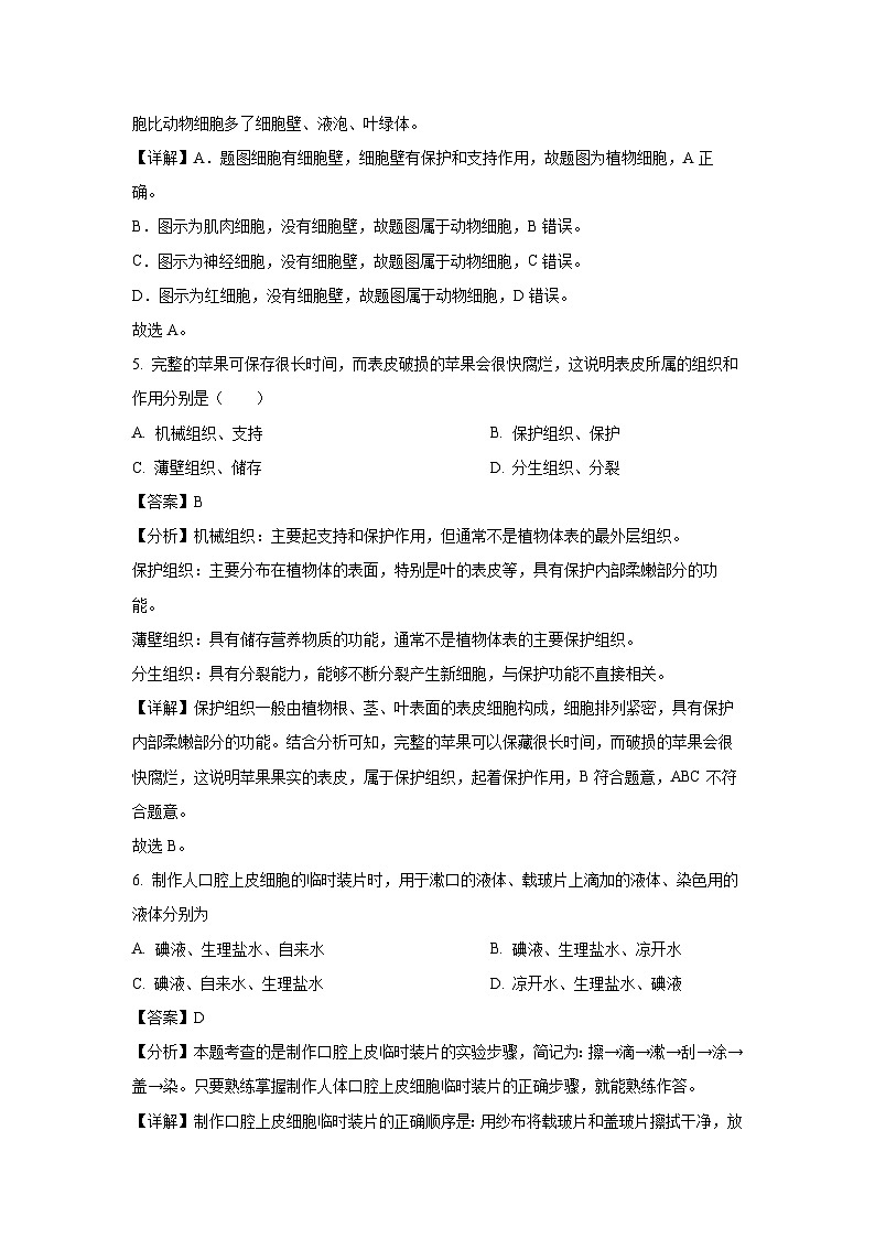 2024~2025学年吉林省四平市双辽市七年级上学期期末生物试卷（解析版）第3页