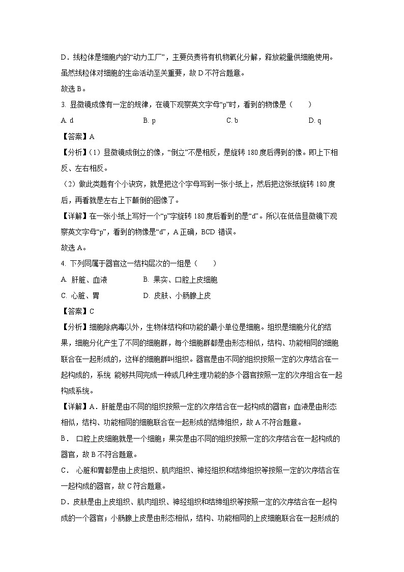 2024~2025学年吉林省四平市铁东区七年级上学期期末生物试卷（解析版）第2页