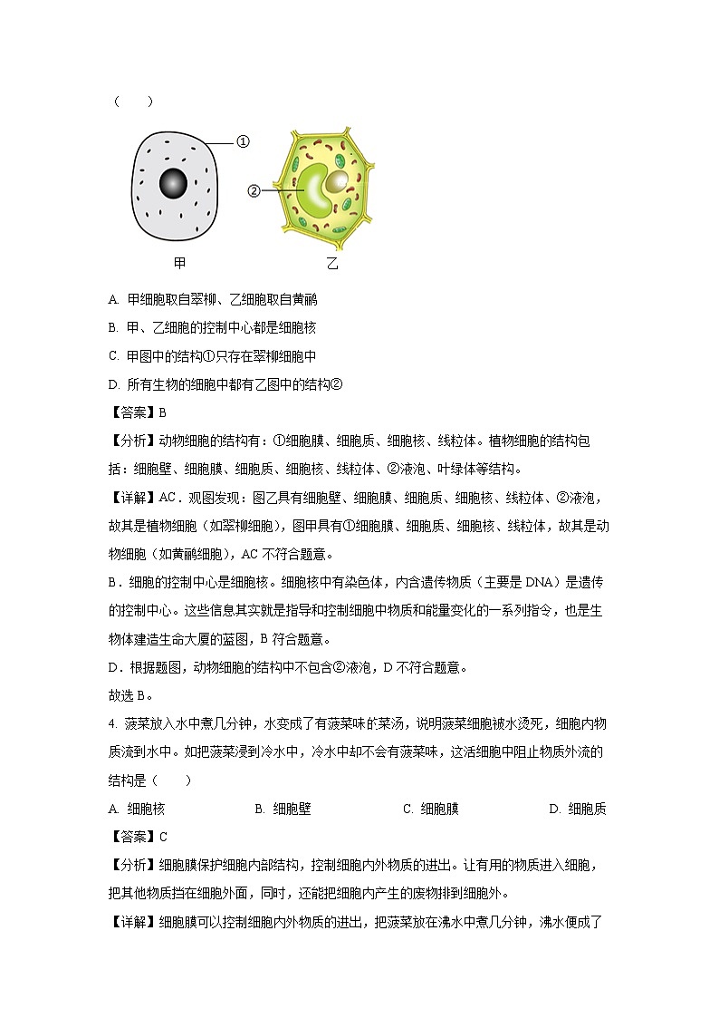 2024~2025学年吉林省吉林市永吉县七年级上学期期末生物试卷（解析版）第3页