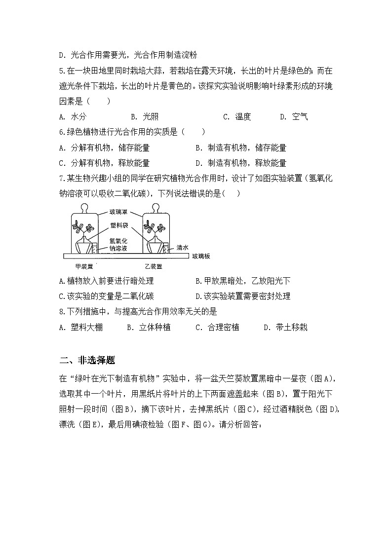 人教版初中生物七年级下册3.2.2《光合作用》同步分层练习（含答案）第2页