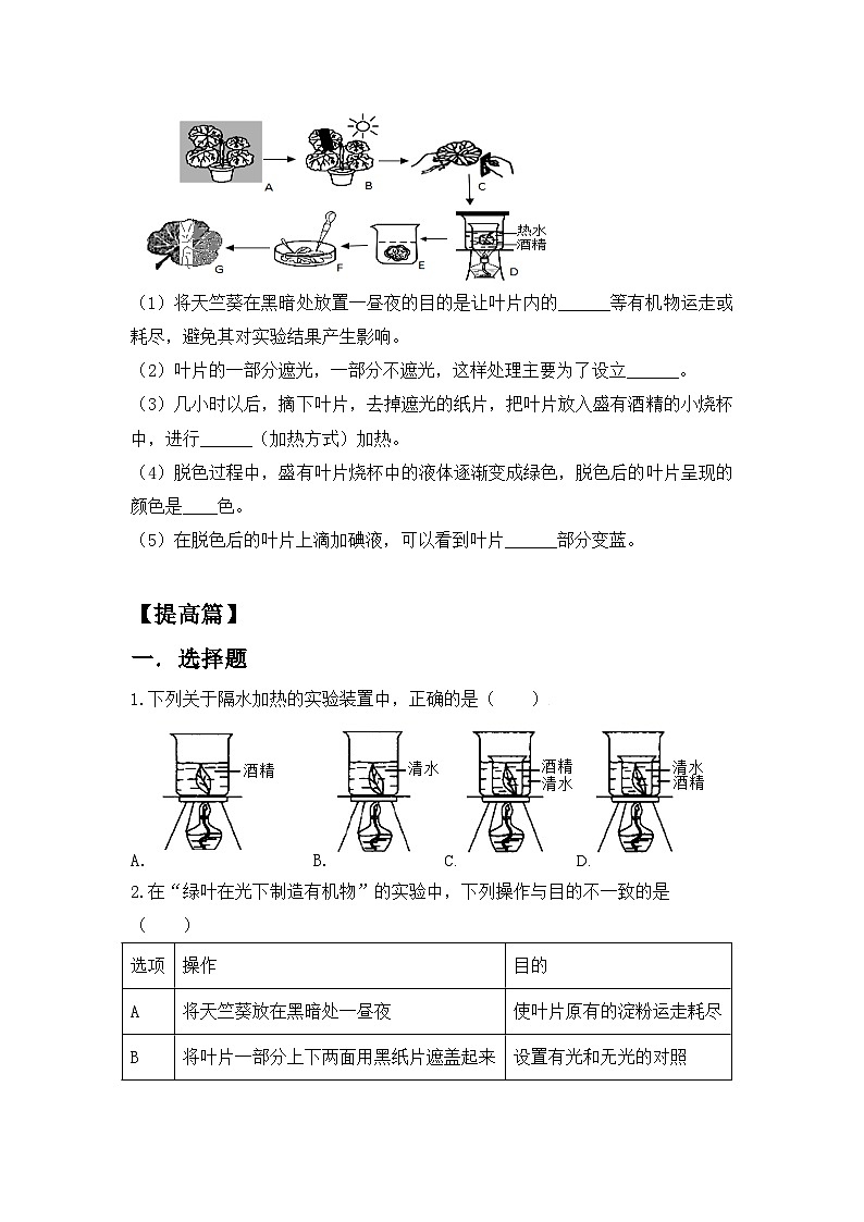 人教版初中生物七年级下册3.2.2《光合作用》同步分层练习（含答案）第3页