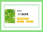 【核心素养目标】人教版初中生物七年级下册3.2.2《光合作用》 课件+视频+教学设计+同步分层练习（含答案)