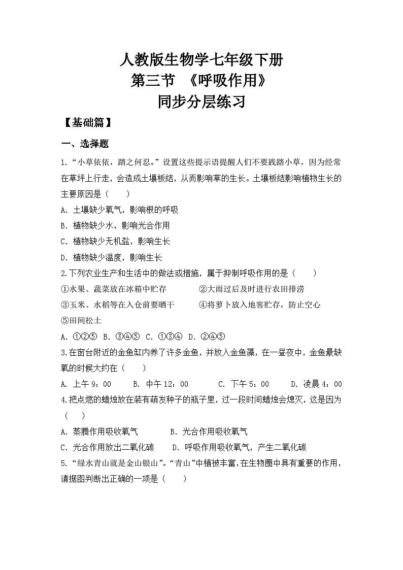 人教版初中生物七年级下册3.2.3《呼吸作用》同步分层练习（含答案）第1页