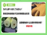 【核心素养目标】人教版初中生物七年级下册3.2.3《呼吸作用》课件+视频+教学设计+同步分层练习（含答案)