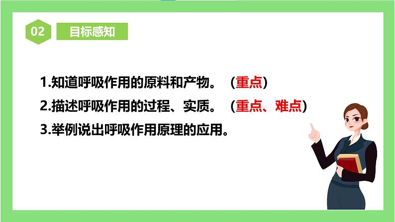 人教版初中生物七年级下册3.2.3《呼吸作用》课件第4页