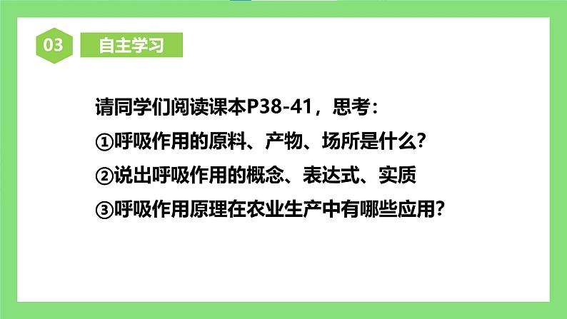 人教版初中生物七年级下册3.2.3《呼吸作用》课件第5页