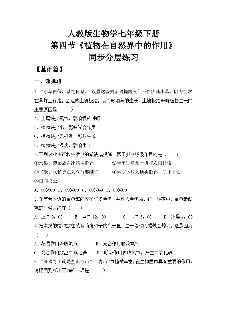 人教版初中生物七年级下册3.2.4《植物在自然界中的作用》同步分层练习（含答案）第1页