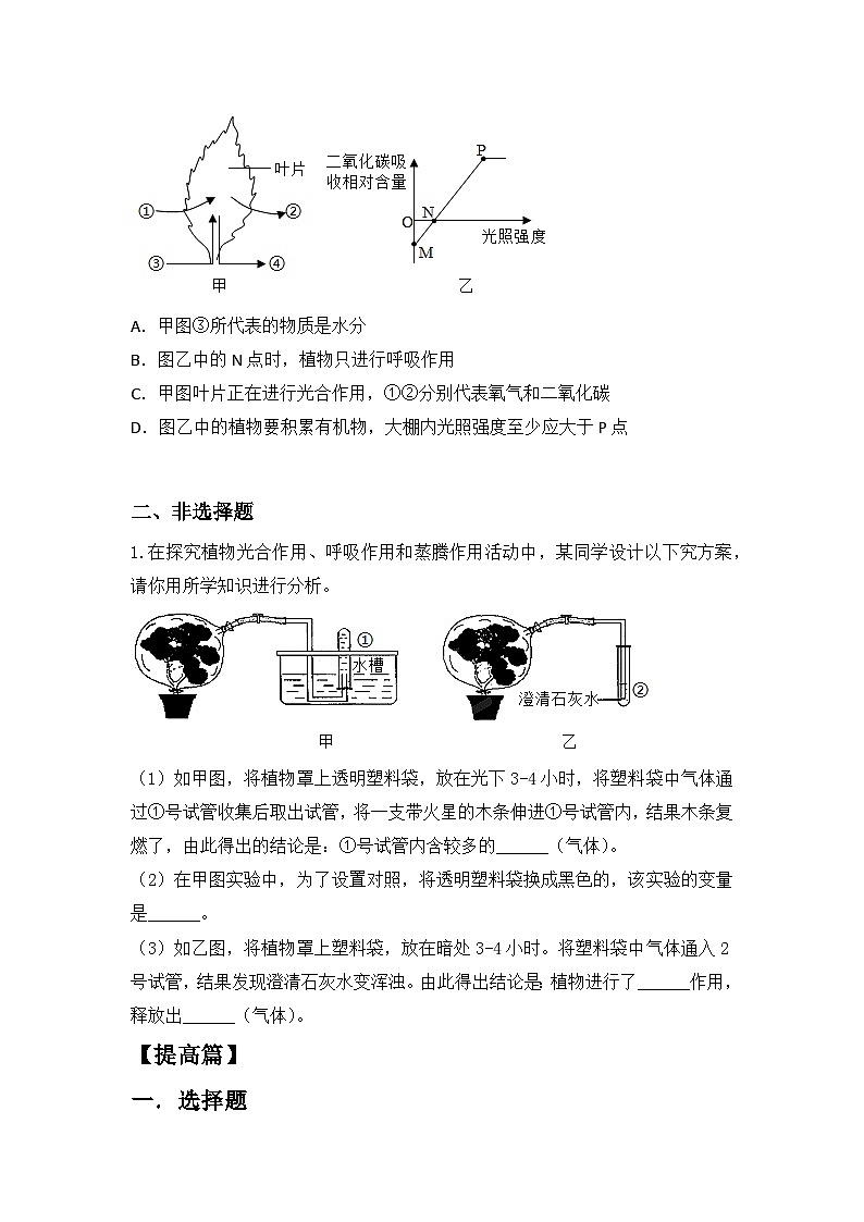 人教版初中生物七年级下册3.2.4《植物在自然界中的作用》同步分层练习（含答案）第2页